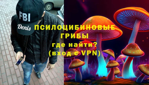 дживик Баксан