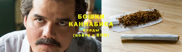 дживик Баксан