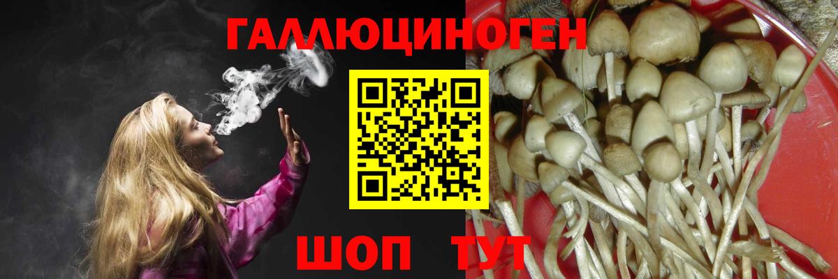 Беслан  Галлюциногенные грибы Psilocybine cubensis  Вход с VPN 